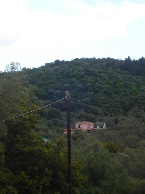 Ellis Studios Κατομέρι Εξωτερικό φωτογραφία
